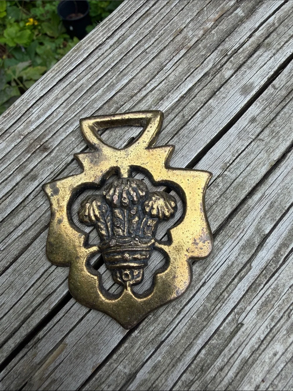N/A medallion harness